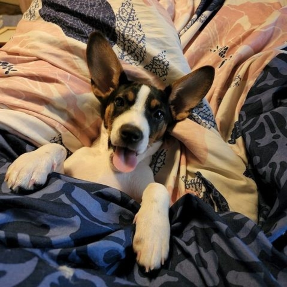 Meet your Posher, Loretta